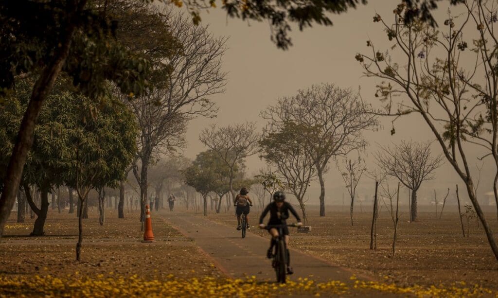 Pneumologistas explicam como se proteger da fumaça provocada pelas queimadas