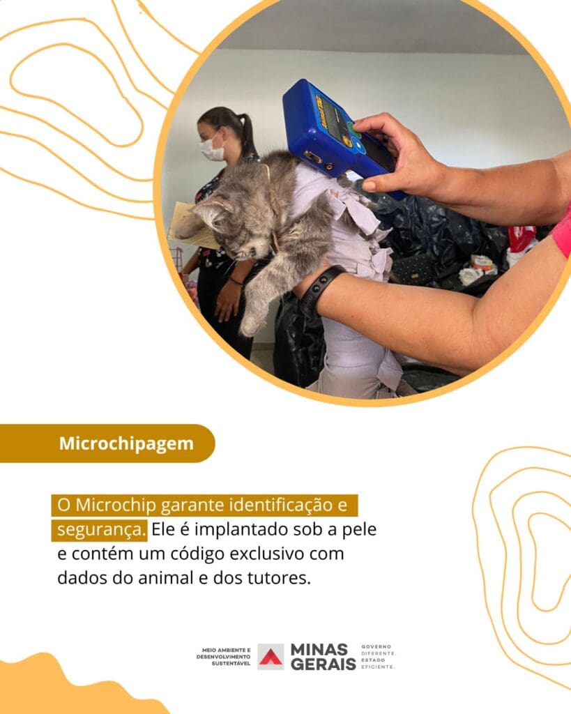 Agosto Caramelo promove cuidados essenciais para a saúde de pets