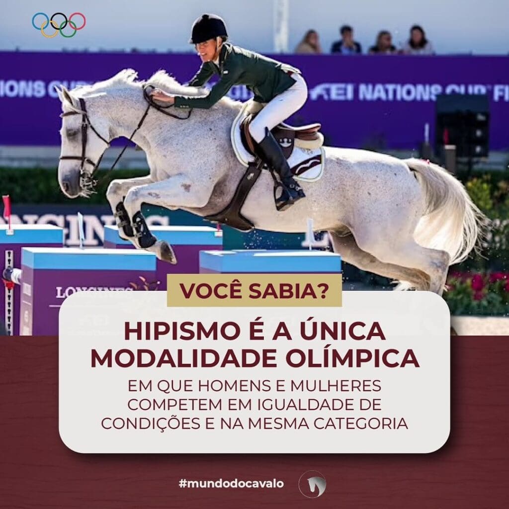 Hipismo: Única Modalidade Olímpica com Igualdade de Gêneros