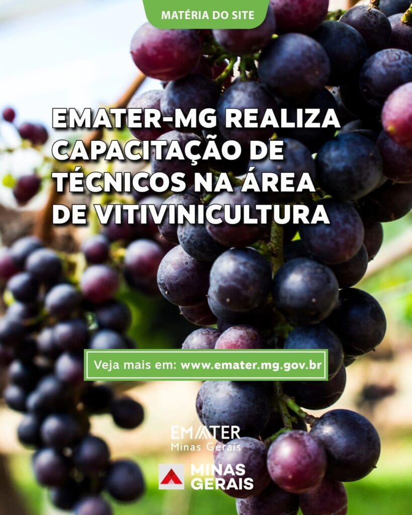 Emater-MG inicia capacitação em fruticultura com foco na vitivinicultura no sul de Minas