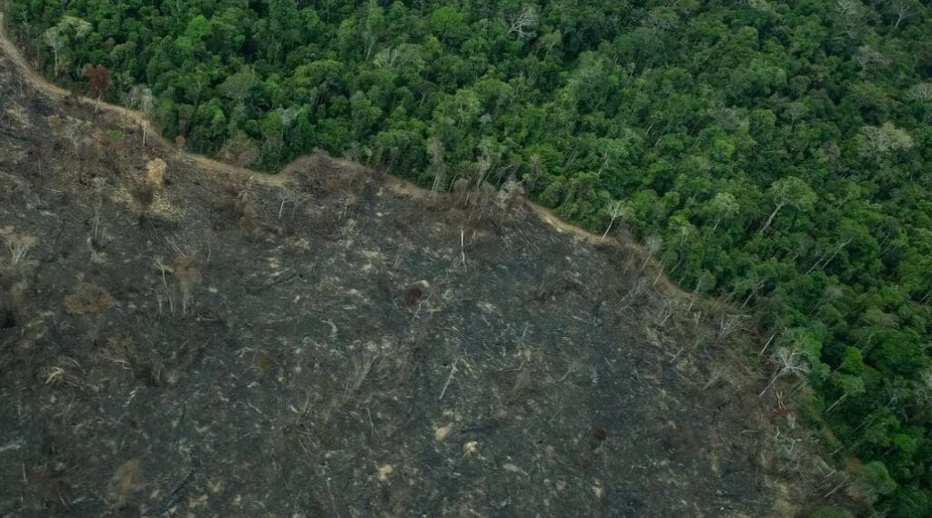 Terra Indígena Karipuna de Rondônia tem cenário de incêndio e seca