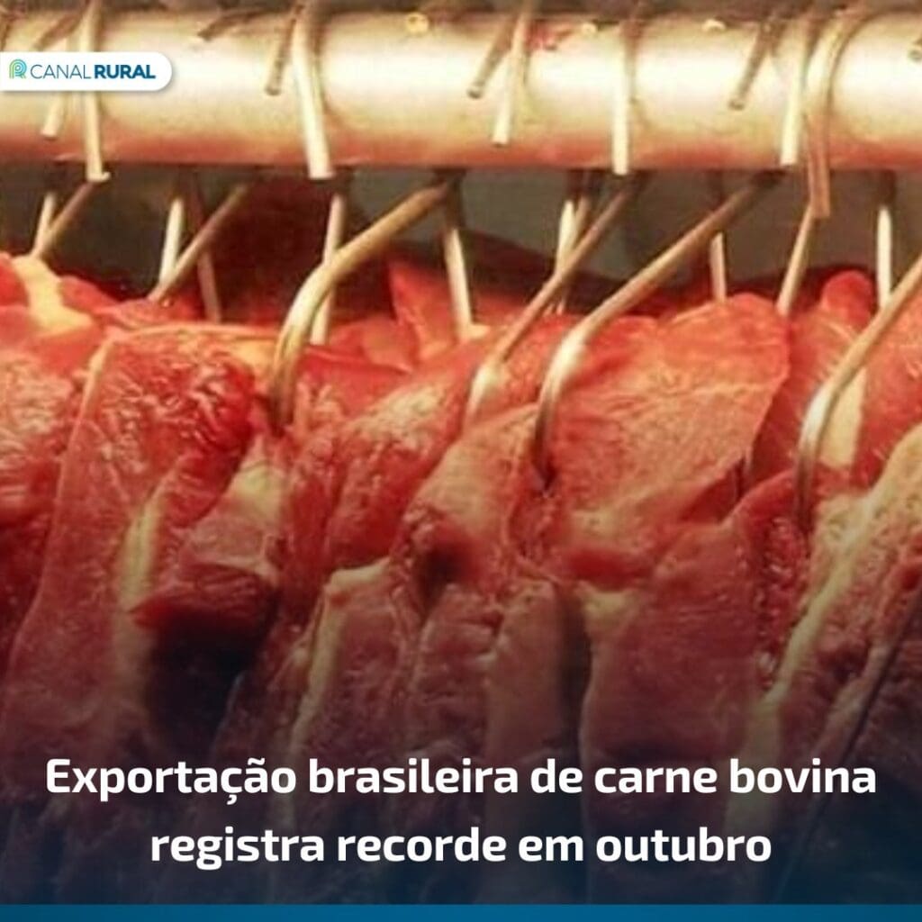 Exportação de Carne Bovina Brasileira alcança recorde em outubro de 2024