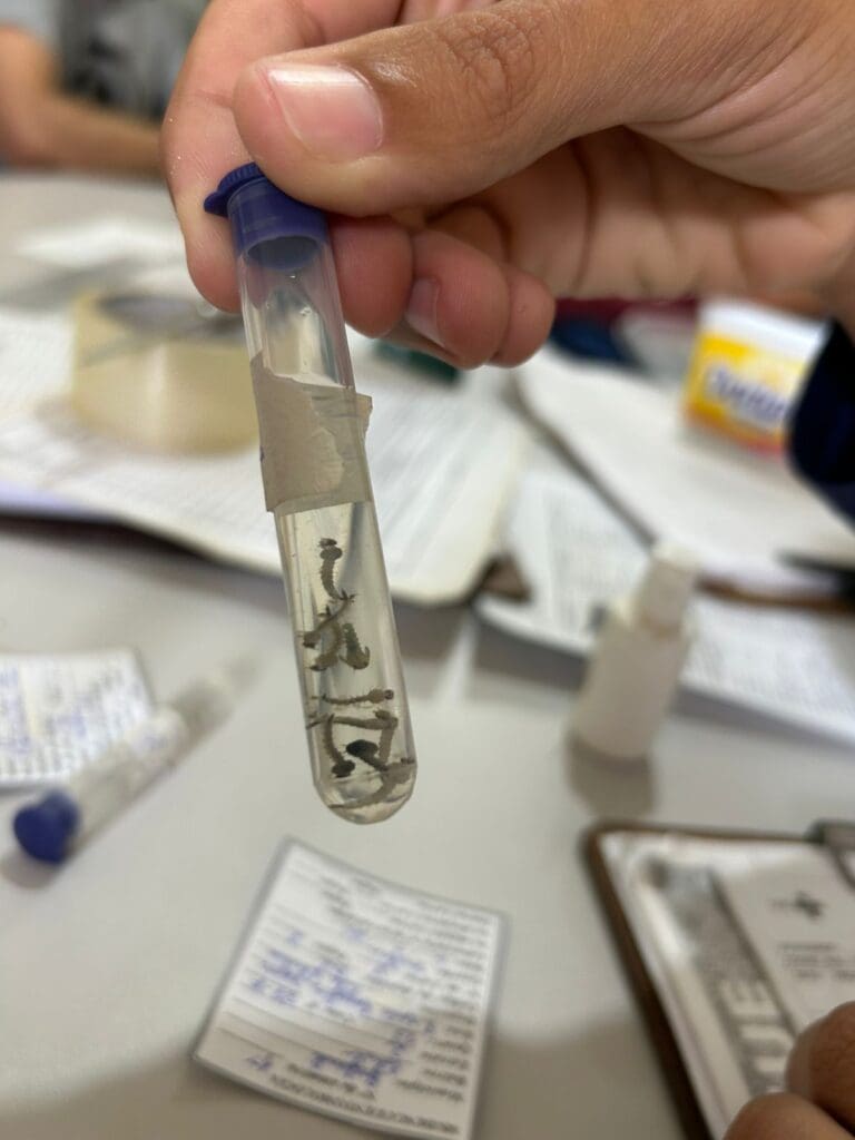 Prefeitura de Baependi alerta para proliferação do Mosquito da Dengue