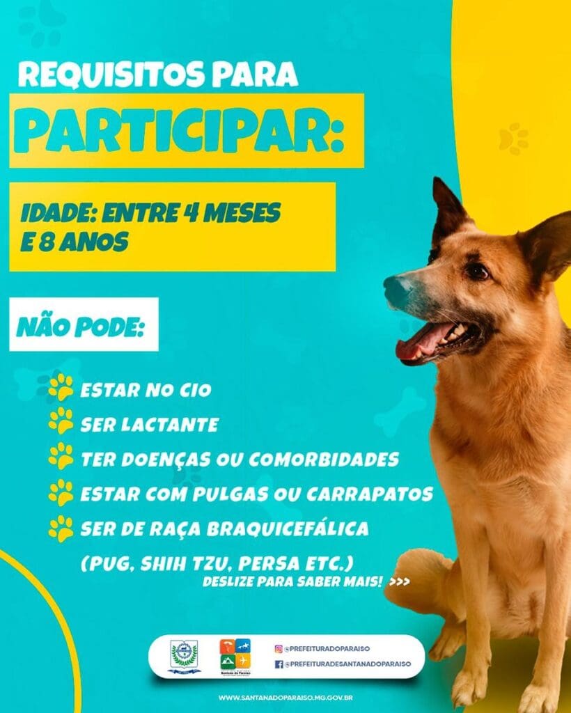 Santana do Paraíso promove Programa de Castração de Animais com inscrições até 20 de maio
