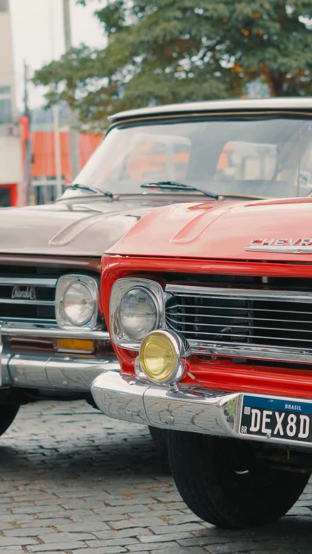 Festival Borda Motor começa com o pé direito e atrai amantes do motor em Borda da Mata